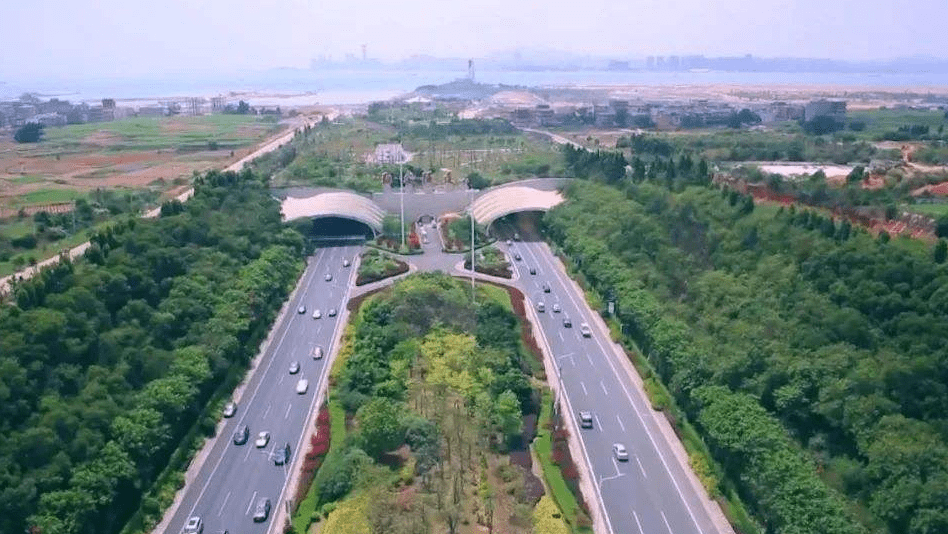 总投资11亿,厦门市溪东路(海翔大道-翔安南路段)工程批复_项目_建设