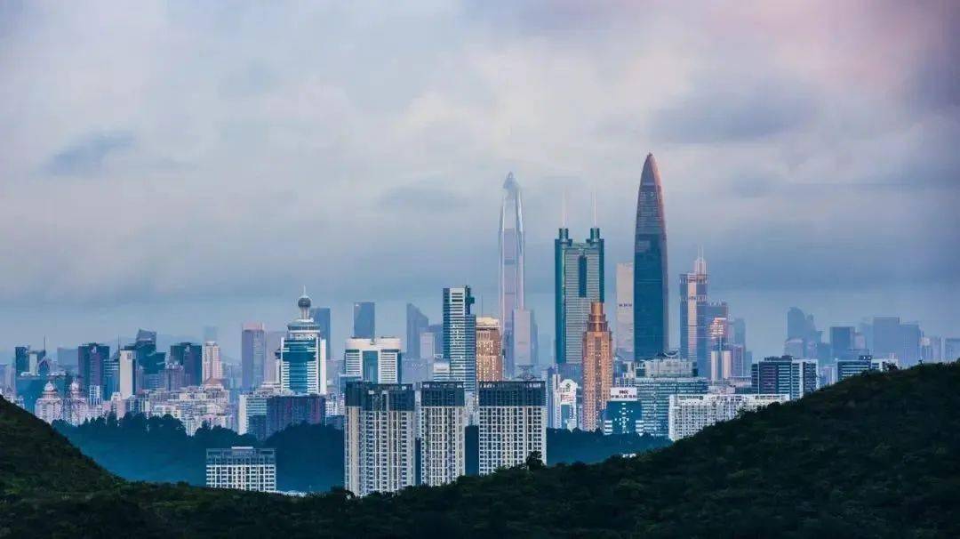 深圳人,别再将就生活了_城市_性格_住房