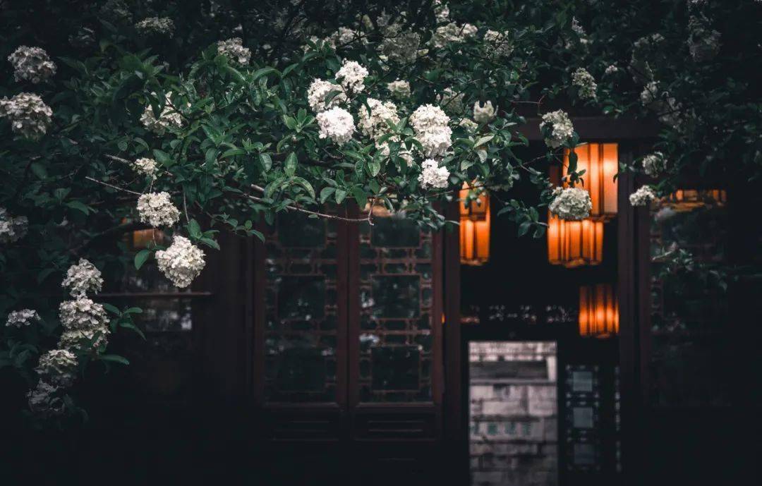 每日一诗丨蝶恋花·庭院深深深几许_欧阳修_冯延巳_杨柳堆