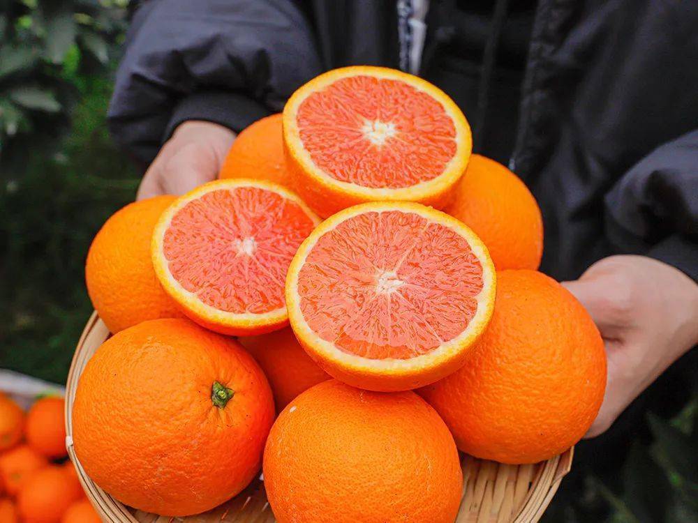 「秭归中华红血橙」