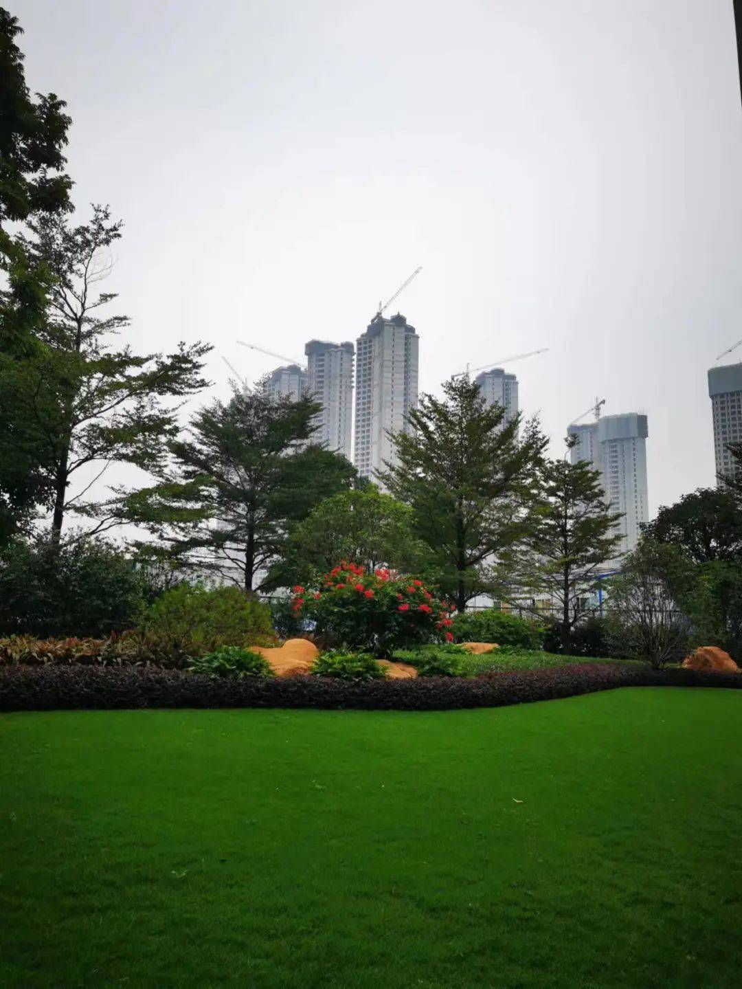 5~6万,科学城新盘星河湾萝峰,终于开盘啦!_价格确定_广州_售楼部