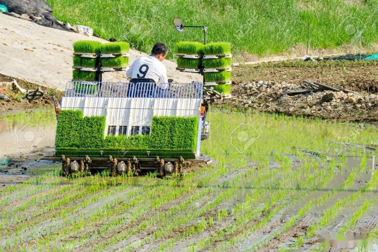 日本山地农业机械化图片