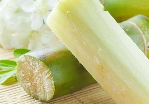 功效_顾恺之_广东