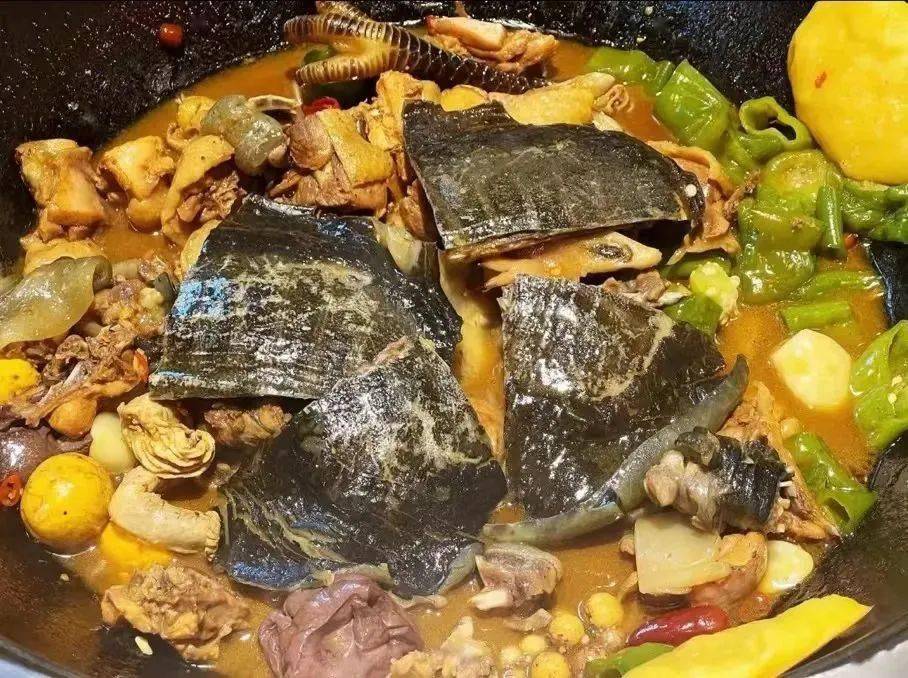 柴火鸡炖甲鱼 下时蔬 千丈 餐位 纸巾_土鸡_旅游_网络