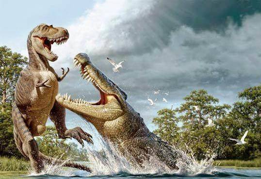 牛龙和霸王龙一样胜在气势,可惜的是实力不济的它先后被中国角龙顶和