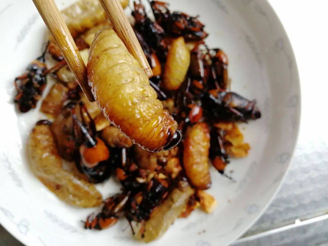 如今成稀罕美味,60元/斤,冬季很多人去竹林抓_竹象_竹笋_幼虫