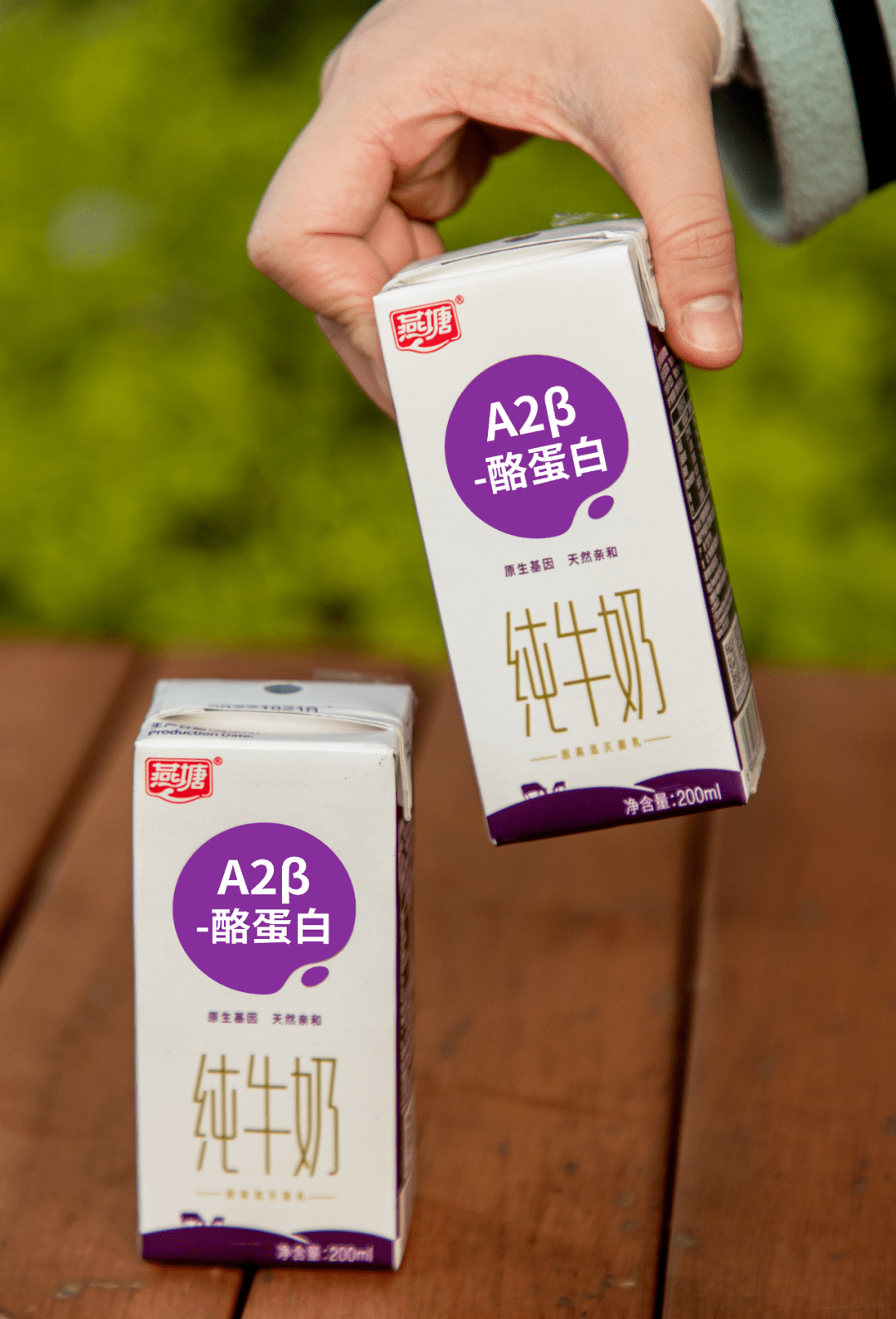 牛奶_燕塘_广州