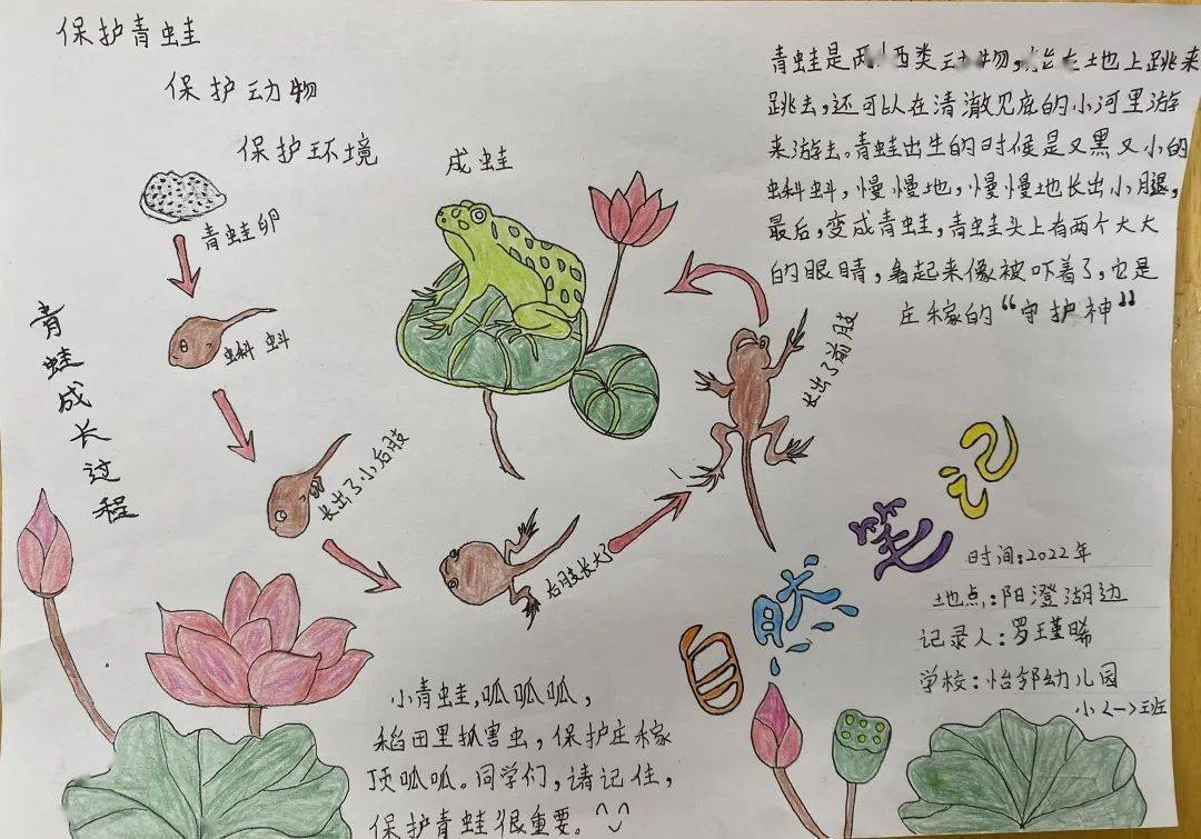 罗瑾晞《青蛙成长过程》霍任烁《胡萝卜笔记》少年探自然,绘美阳澄湖