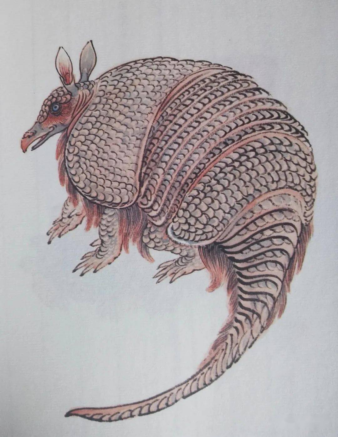 鵸鵌:其状如鸡,三首,六目,六足,三翼,吃了它人会精神亢奋无法入睡.