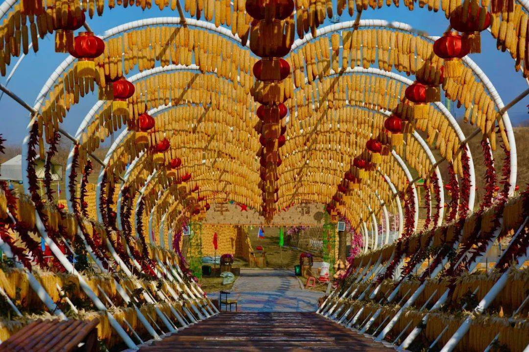 红辣椒等搭建的国旗,松树塔搭建的大松塔等景观已经建成,这些用东北老