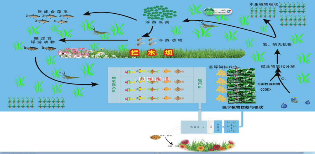 流水槽养鱼设计方案图片