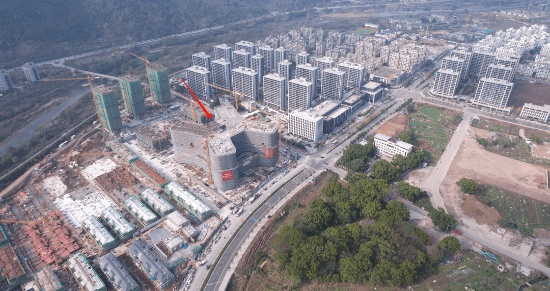 以肝胆胰中心肿瘤诊疗中心等为特色的省重点建设项目丽水国际医学中心