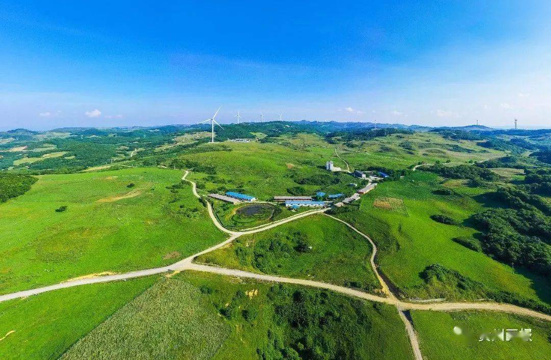 威宁雪山镇:唱响希望的牧歌_灼圃_草地_草场