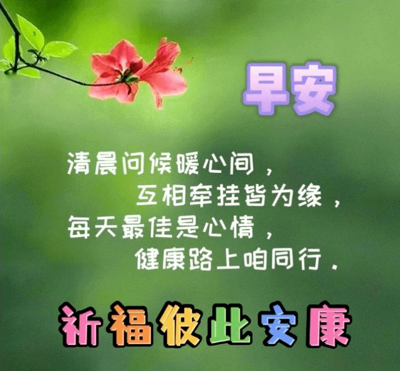 禅语早安图片图片