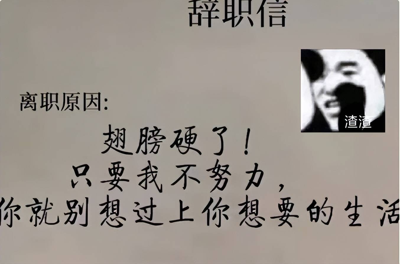 毕业生“直白”辞职信走红，连面子话都不愿说，老板招谁惹谁了