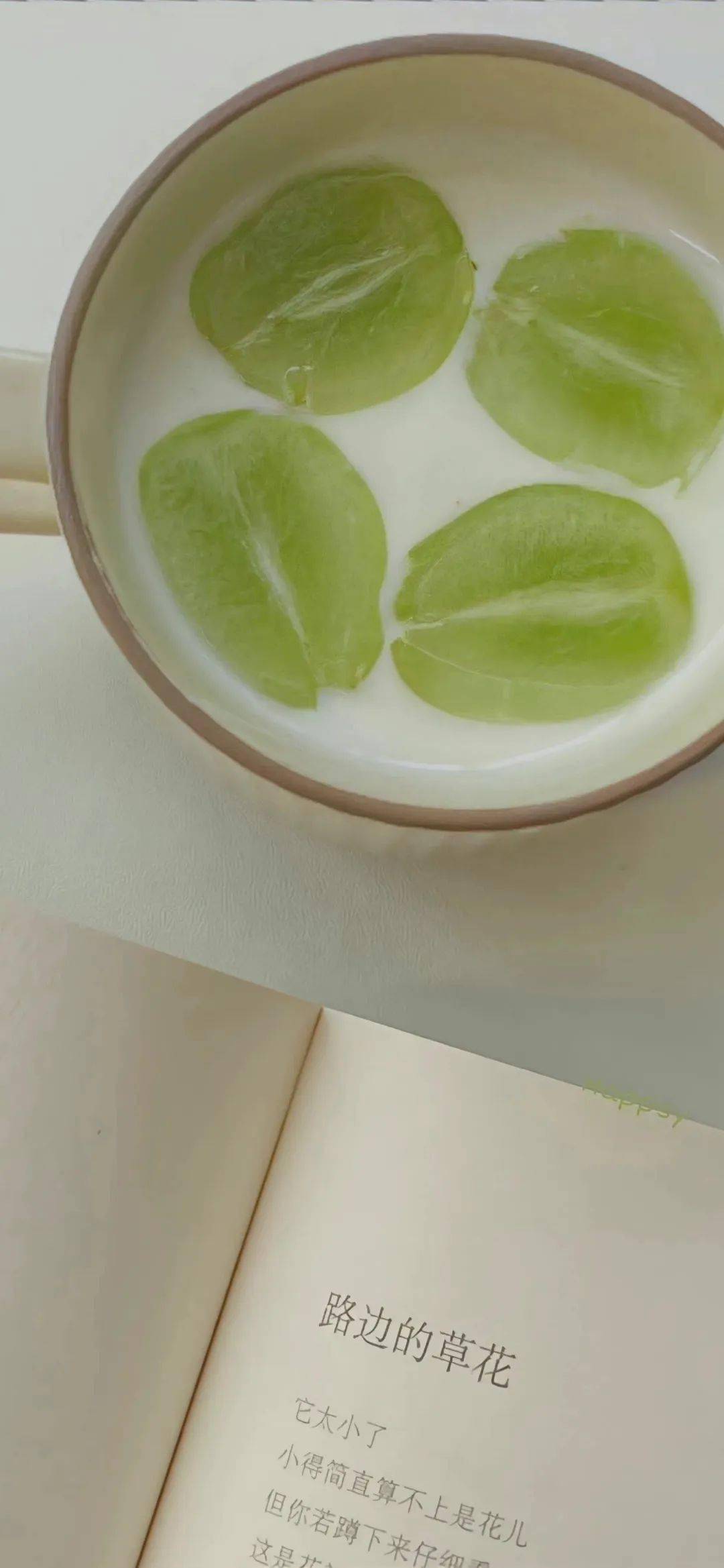 壁纸 | ins风治愈系绿色壁纸