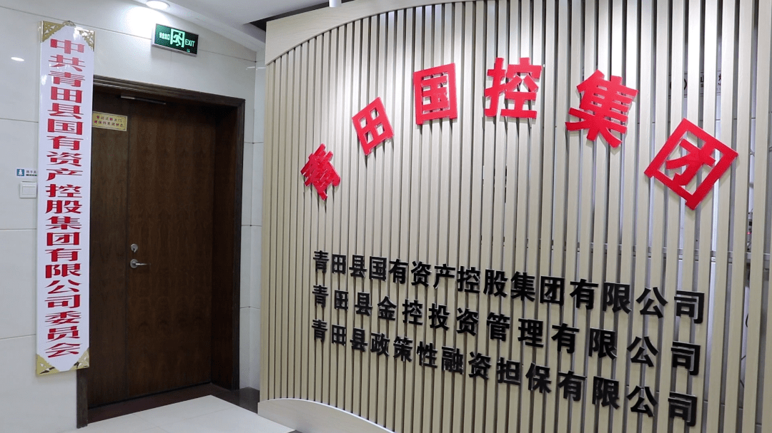青田成功发行山区26县首单自贸区离岸债券_市场_华侨_名片