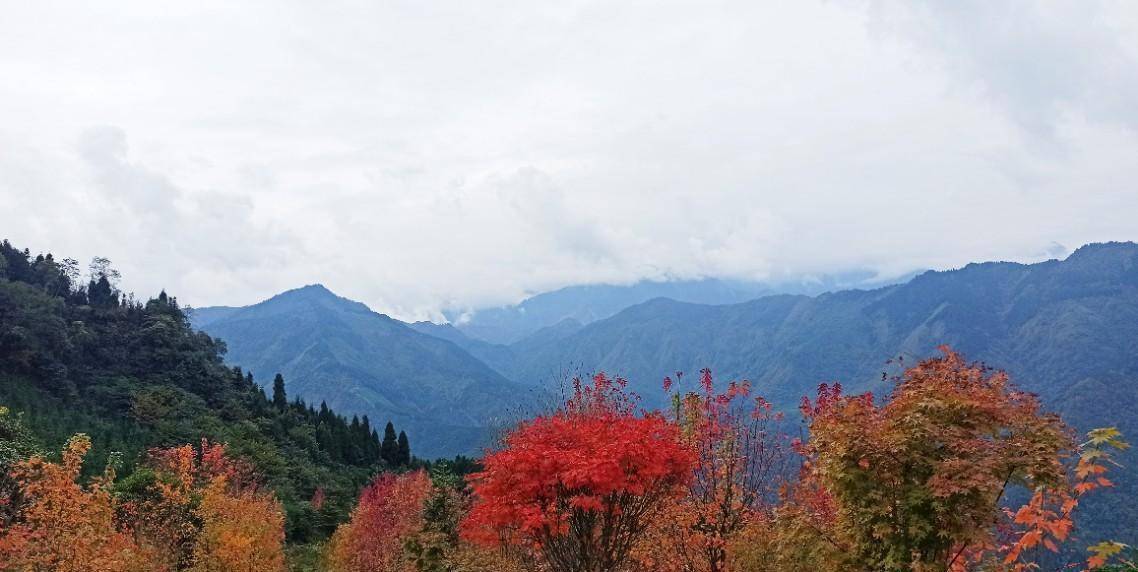 什邡红枫岭景区图片