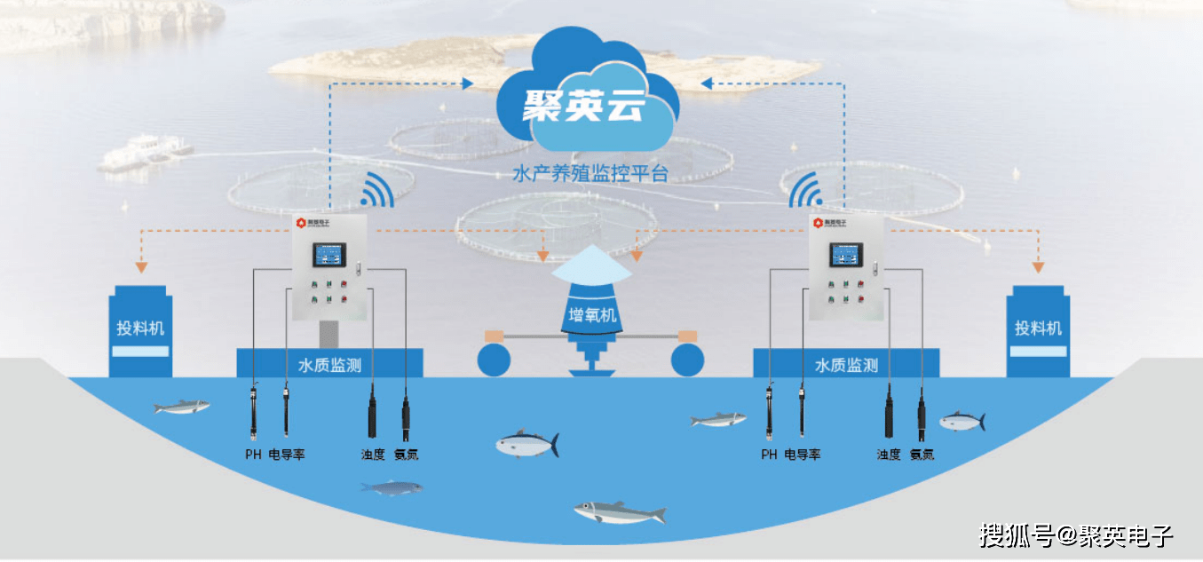 智慧渔业：从水质在线监测到智能投料，水产养殖管理系统如何重塑传统养殖