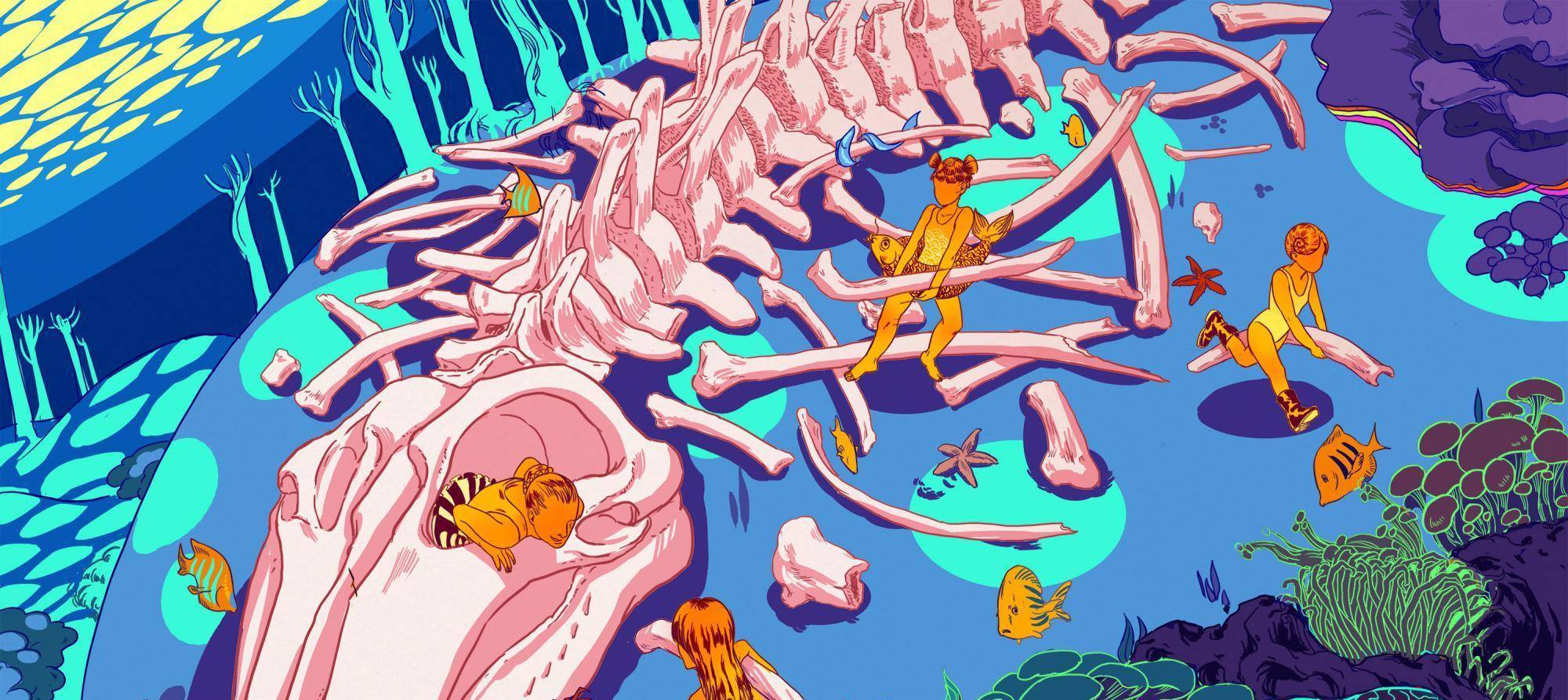 人间最美，不过鲸落，一场诗意而悲壮的死亡也是最温柔的死亡_搜狐网