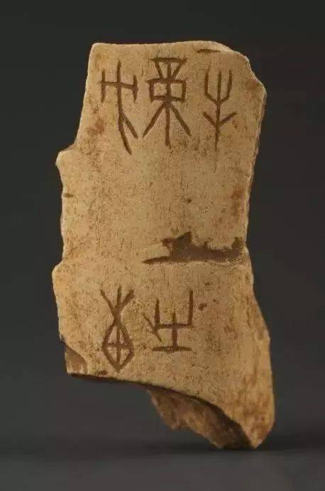 王懿荣:药铺里的大发现甲骨文_龙骨_文字_符号