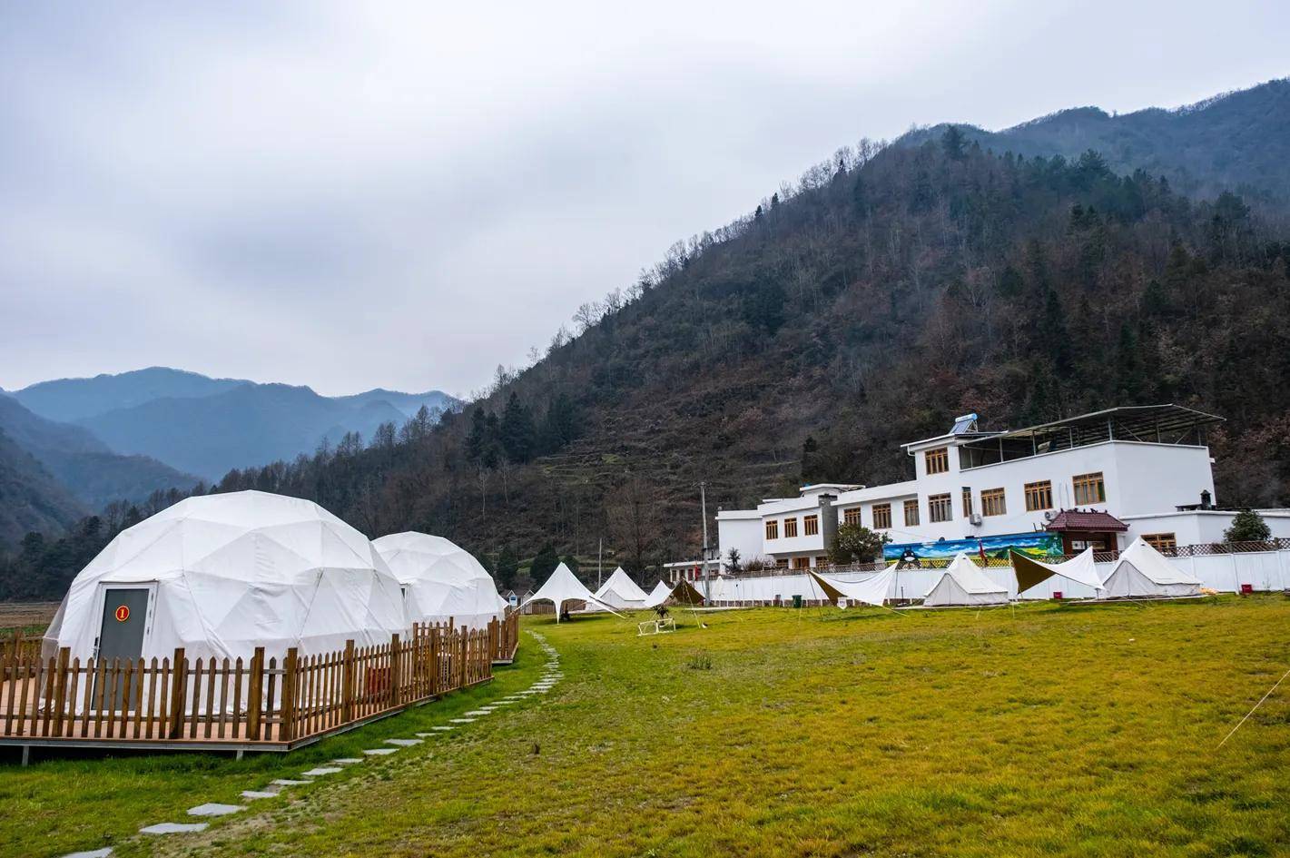 陕西旬阳水泉坪:两山夹峙间的壮美油菜田!_旅游_安康_地方