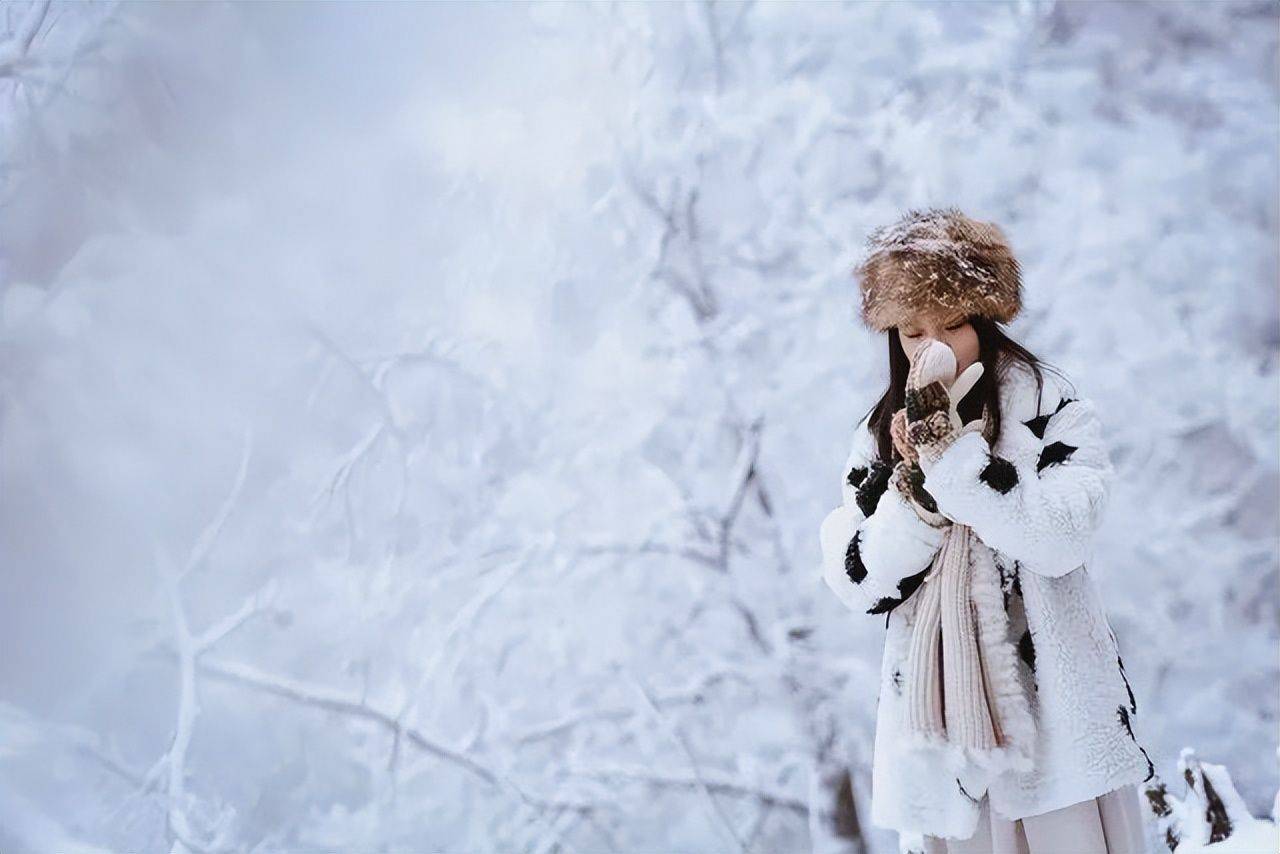 总结1000张雪景照片的套路