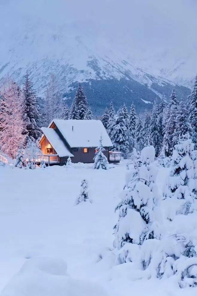 朗诵:冬雪翩跹,素心缱绻_雪地_雪花_岁月