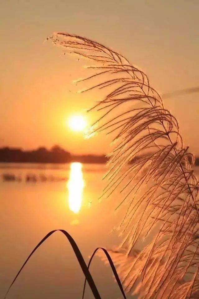 朗诵:余生很短,凡事看开,知足常乐_生活_人生_心态