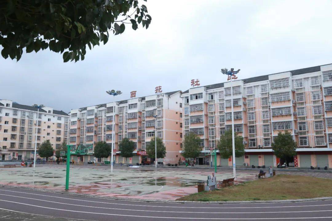 【陕西省"美丽乡村 文明家园"建设示范点风采5】石泉县池河镇西苑社区