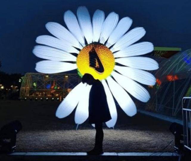 权志龙的菊花为何总少一瓣?看清背后的logo,我好像明白了点什么