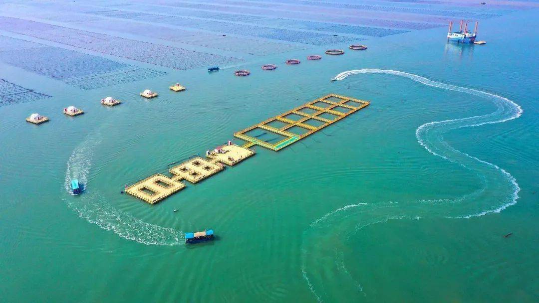 全省推广优秀案例 | ③爱伦湾海洋牧场研学之旅入选全省高品质旅游