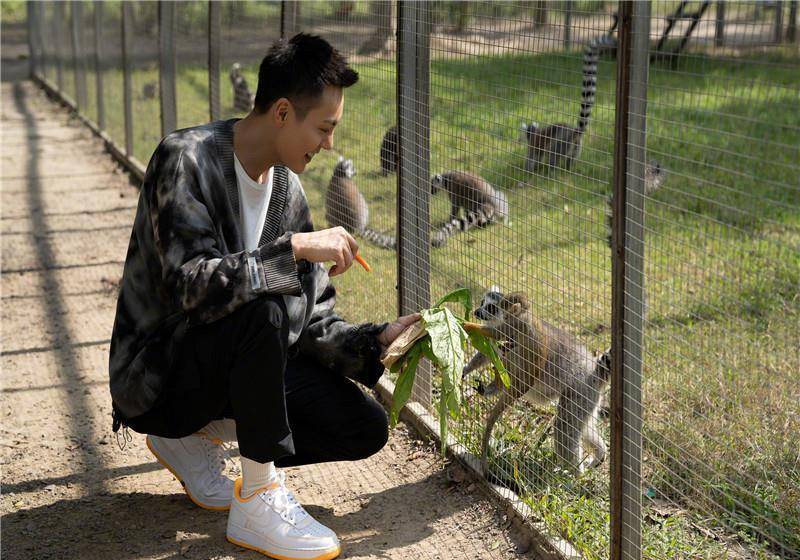 当有人问他为什么要养一只猫的时候,陈伟霆却笑着回答说,因为我都能够