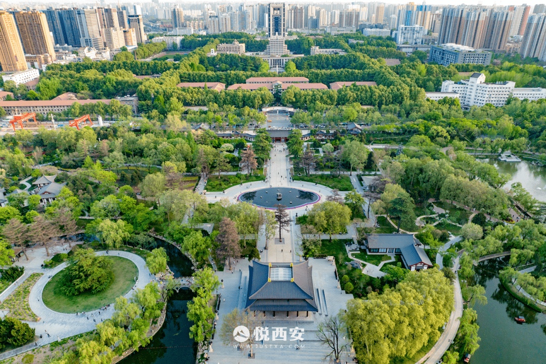 大唐东市遗址揭开面纱,历史文化片区呼唤亮相_唐长安城_西市_考古