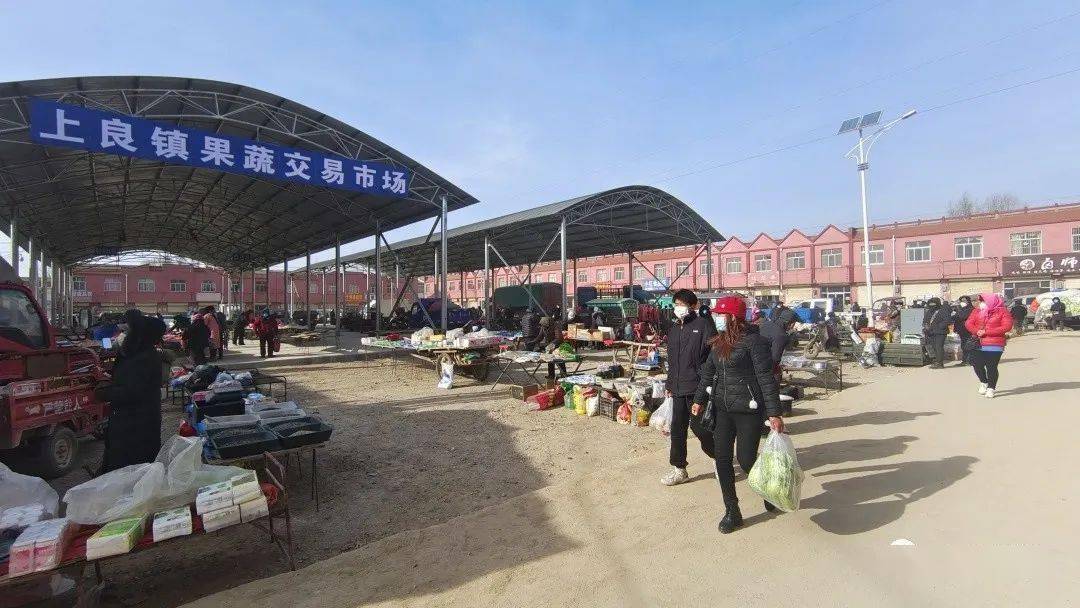 【党的二十大精神在基层】上良镇:果蔬交易大棚助力