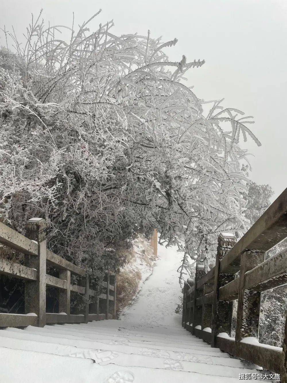 一夜入冬！云南大理鸡足山景区迎来今冬首场降雪！