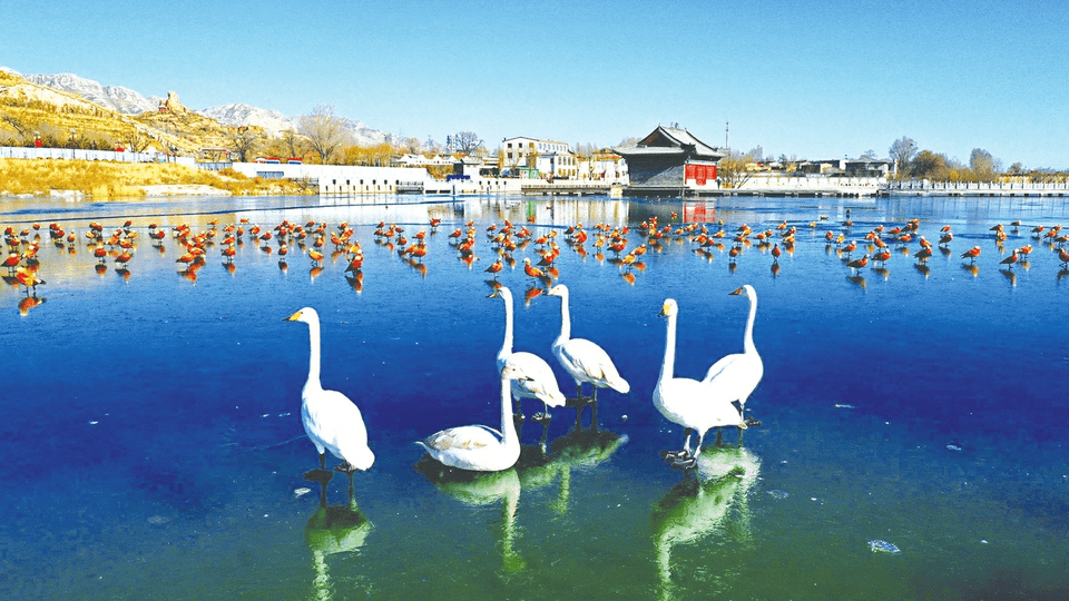 朔州:建设天蓝、地绿、水清的美丽家园_生态_桑干_文化广场