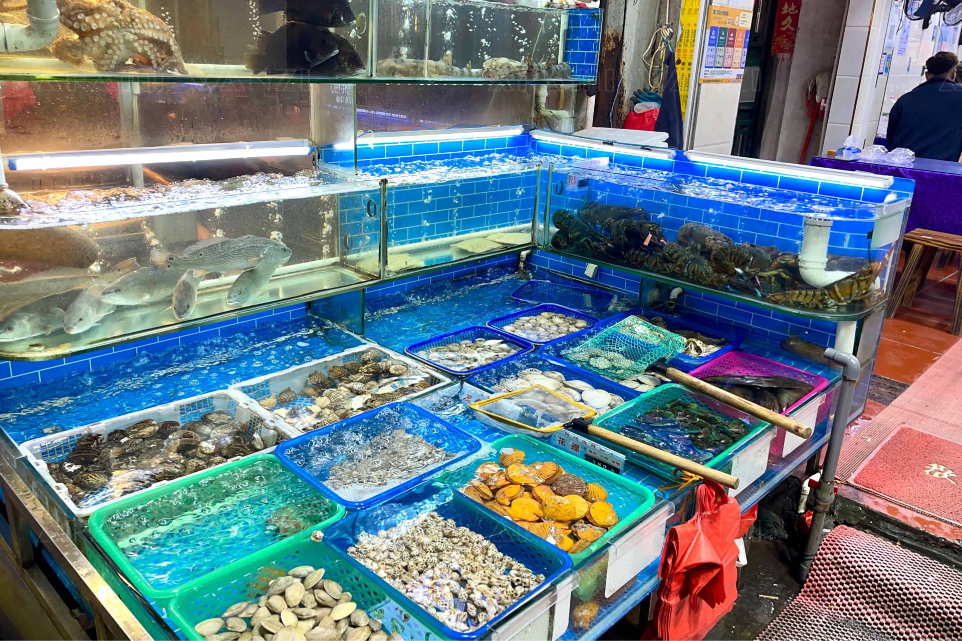 镶金又包银的养殖巴浪鱼,在厦门八市这家海鲜加工店也能吃到_清蒸