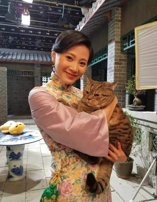 对此朱晨丽笑言:"旗袍里面只穿保暖内衣,屁股也没有垫东西!