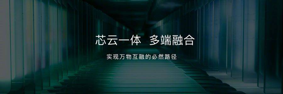 为什么要做蓝牙音频芯片？OPPO的野心远不行于手机