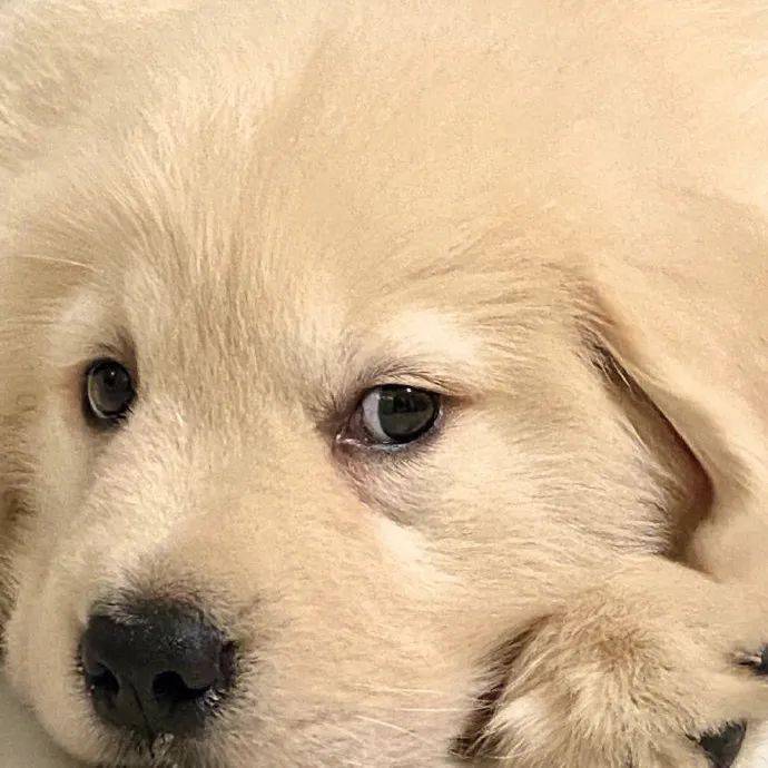 一推敲,哪一件都藏着委屈.