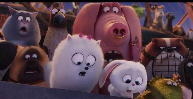 大机密2》:除了萌和搞笑,还带一些无聊的说教_麦克斯_生活_玩具总动员