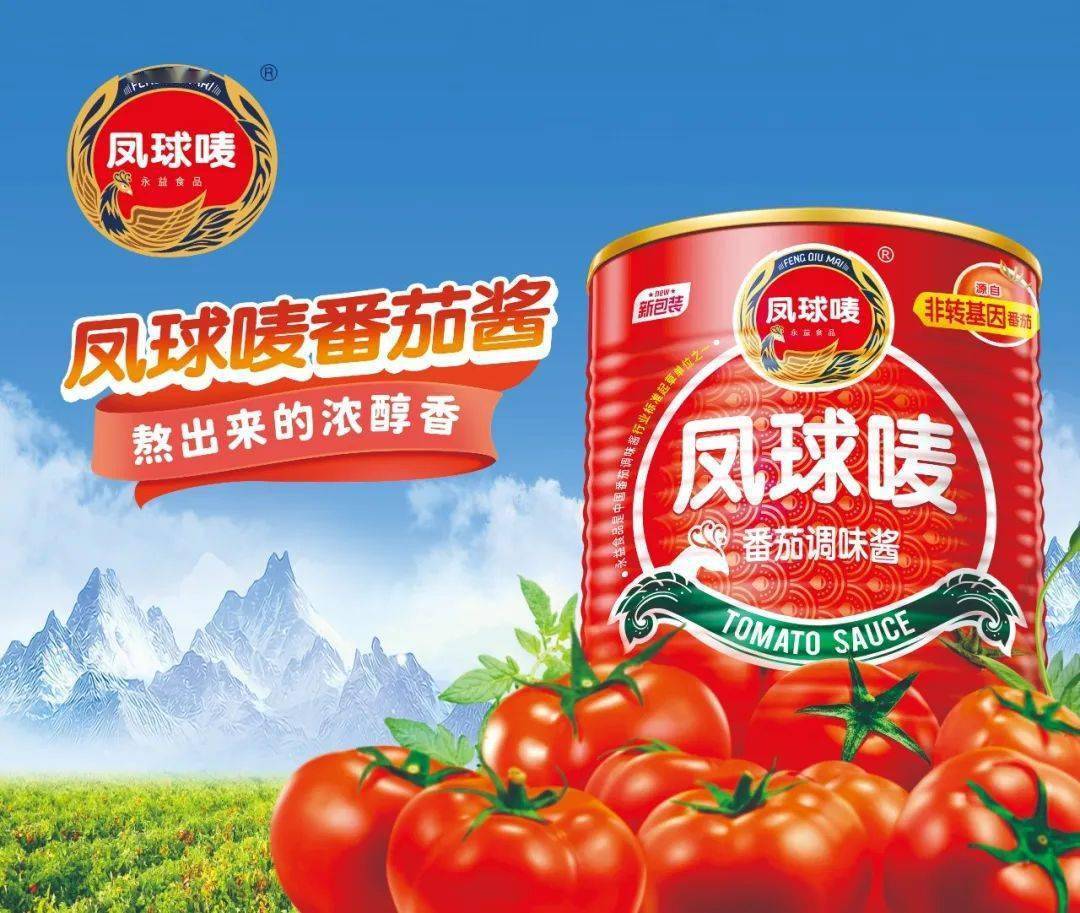凤球唛番茄调味酱产品简介:以火腿香气浓郁为特色的一款产品,华东腐乳