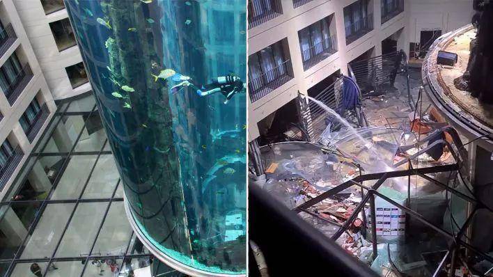 世界最大圆柱水族箱开业半年裂成碎片，制造商介入调查_搜狐网
