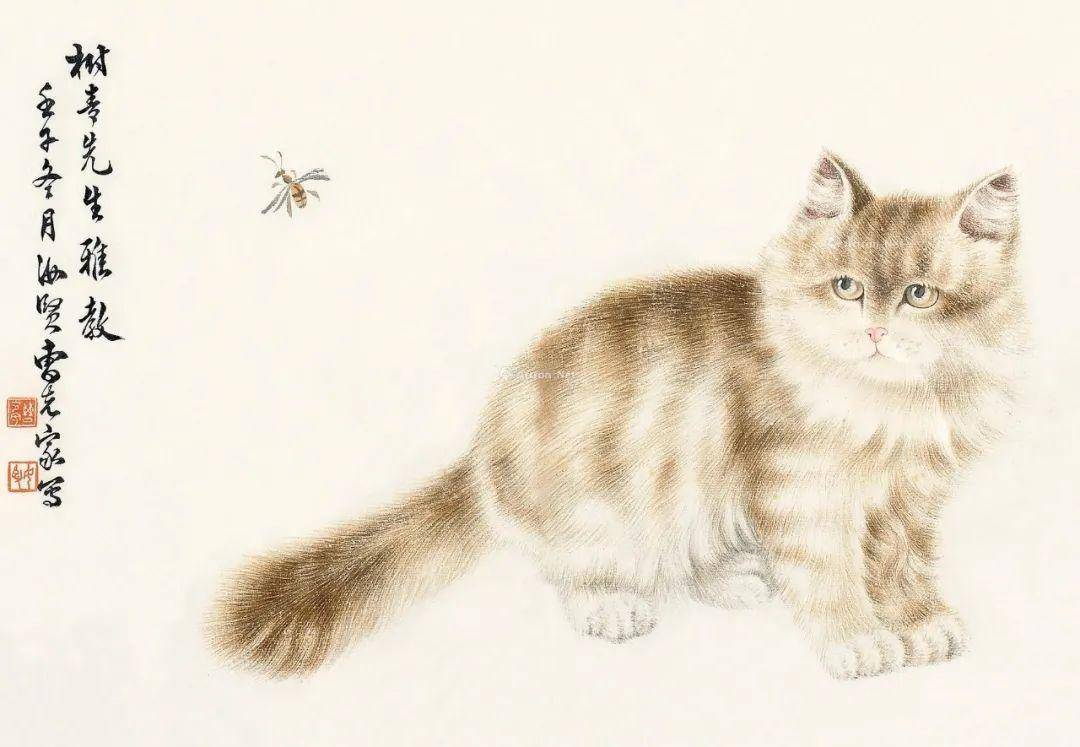 近代名家|曹克家笔下的猫"各显神通"_cm_绘画_纸本