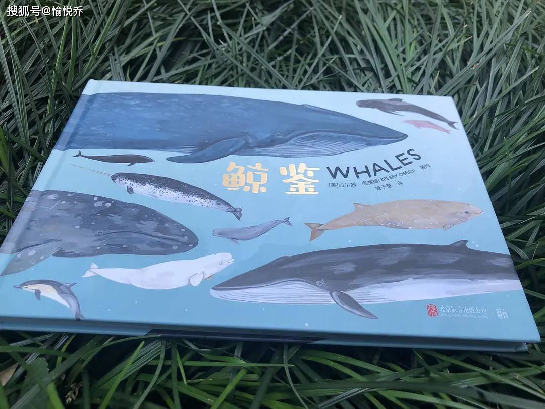 我要推荐儿童科普书# 鲸鱼知多少_搜狐网