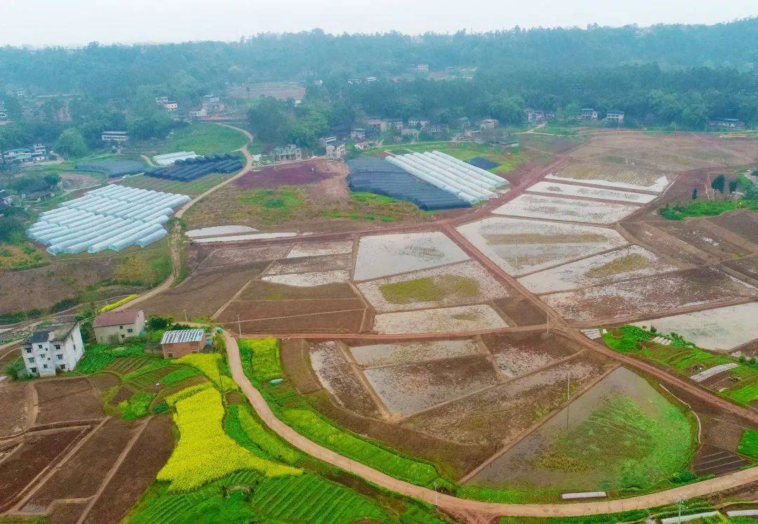 争创天府旅游名县|华蓥,安丙故里 魅力永兴_广安_贫困户_政策