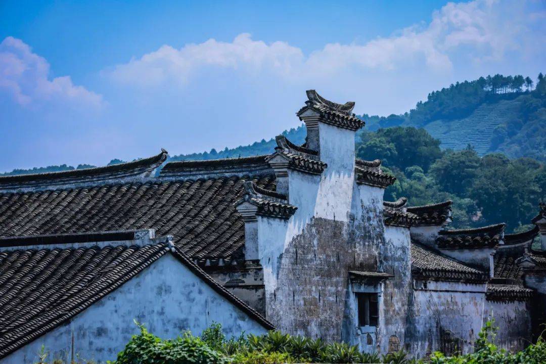 肆意摆列组合都是一幅美景，苏州太湖西山岛的每一分钟都值得收藏