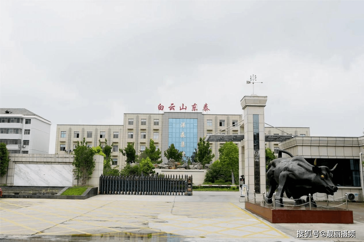 白云山东泰商丘药业为我市捐赠抗感冒药_连锁_药房_人民