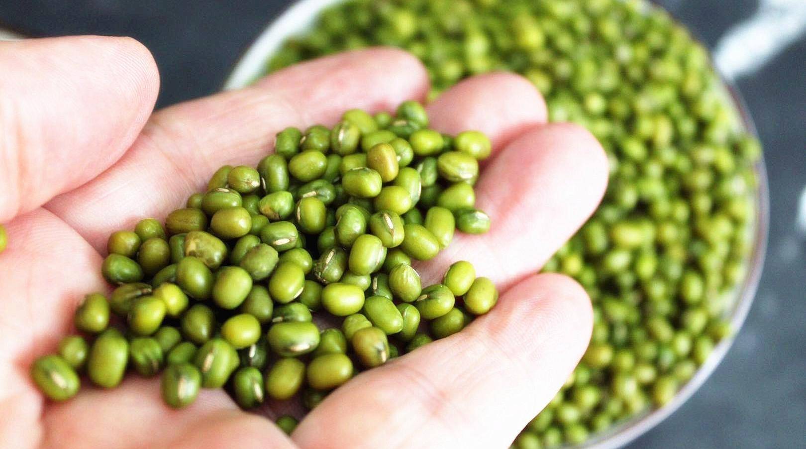 买绿豆,遇到这3种绿豆要注意,1块钱一斤都别要,早知道早受益_时候_带